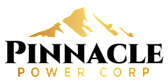 Pinnacle logo
